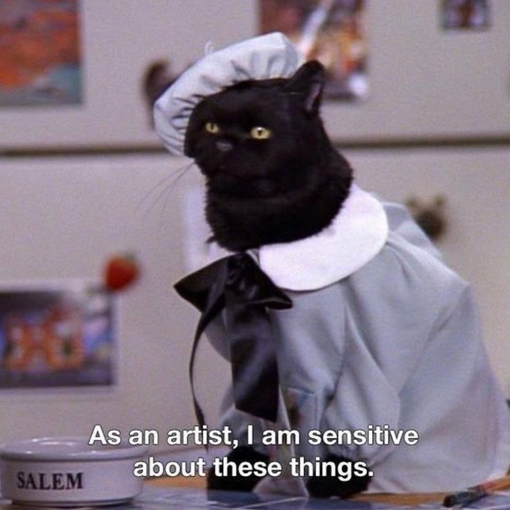 salem the cat the artist