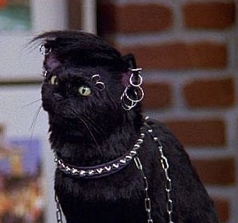 salem the cat but grunge